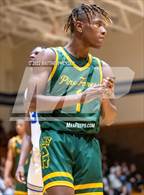 Photo from the gallery "Pine Forest @ Westover"