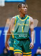 Photo from the gallery "Pine Forest @ Westover"