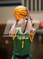 Photo from the gallery "Pine Forest @ Westover"