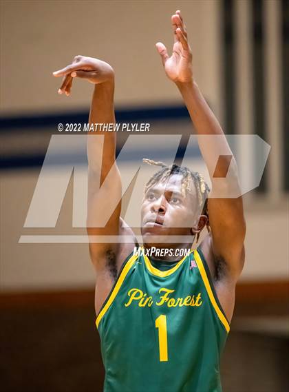 Thumbnail 1 in Pine Forest @ Westover photogallery.