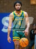 Photo from the gallery "Pine Forest @ Westover"