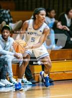 Photo from the gallery "Pine Forest @ Westover"