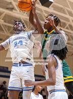 Photo from the gallery "Pine Forest @ Westover"