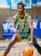 Photo from the gallery "Pine Forest @ Westover"