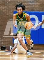 Photo from the gallery "Pine Forest @ Westover"