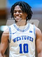 Photo from the gallery "Pine Forest @ Westover"