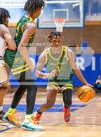 Photo from the gallery "Pine Forest @ Westover"