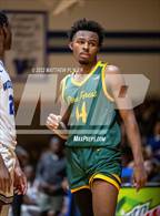 Photo from the gallery "Pine Forest @ Westover"