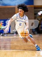 Photo from the gallery "Pine Forest @ Westover"
