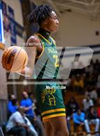 Photo from the gallery "Pine Forest @ Westover"