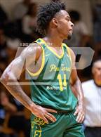 Photo from the gallery "Pine Forest @ Westover"