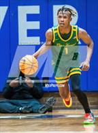 Photo from the gallery "Pine Forest @ Westover"