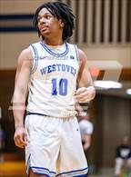 Photo from the gallery "Pine Forest @ Westover"