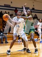 Photo from the gallery "Pine Forest @ Westover"