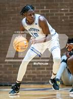 Photo from the gallery "Pine Forest @ Westover"