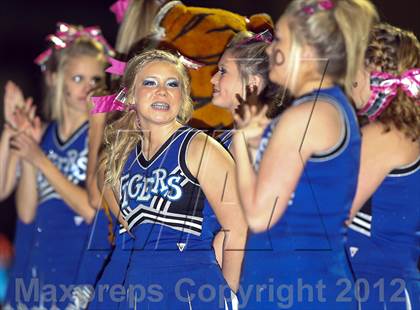 Thumbnail 2 in Wills Point @ Crandall photogallery.