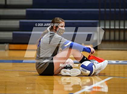 Thumbnail 1 in Newton vs Buna photogallery.