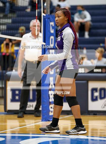 Thumbnail 2 in Newton vs Buna photogallery.