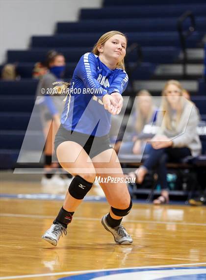 Thumbnail 3 in Newton vs Buna photogallery.