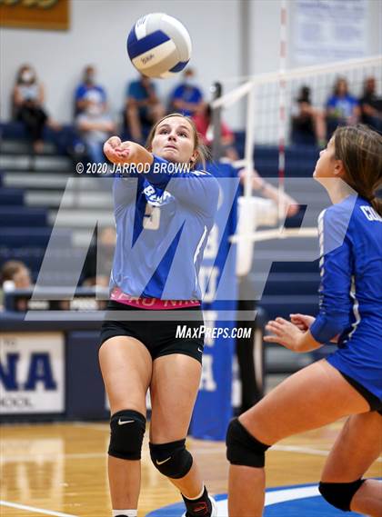 Thumbnail 2 in Newton vs Buna photogallery.