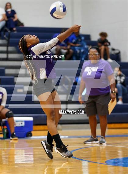 Thumbnail 1 in Newton vs Buna photogallery.