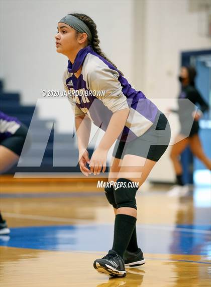 Thumbnail 1 in Newton vs Buna photogallery.