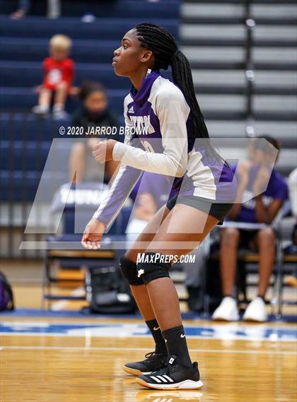 Thumbnail 1 in Newton vs Buna photogallery.