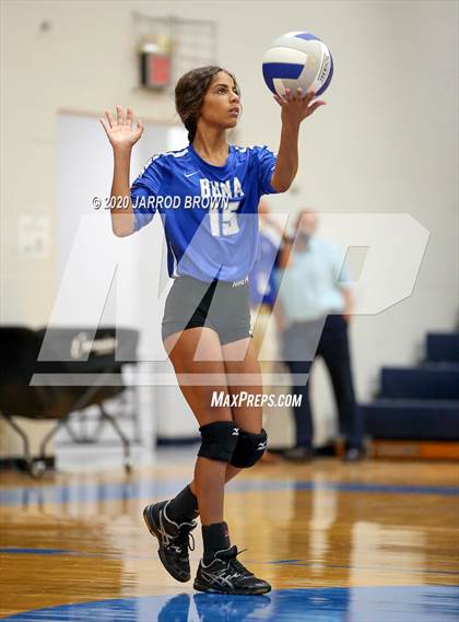 Thumbnail 1 in Newton vs Buna photogallery.