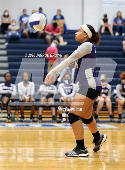 Thumbnail 3 in Newton vs Buna photogallery.