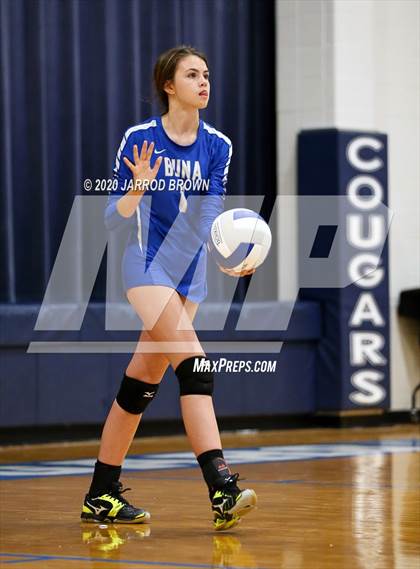 Thumbnail 3 in Newton vs Buna photogallery.
