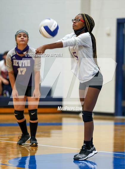 Thumbnail 1 in Newton vs Buna photogallery.