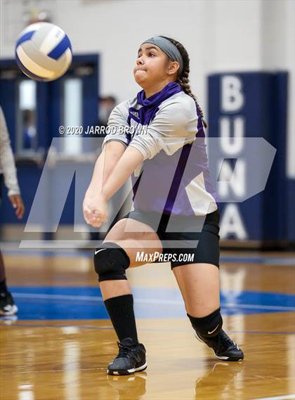 Thumbnail 1 in Newton vs Buna photogallery.