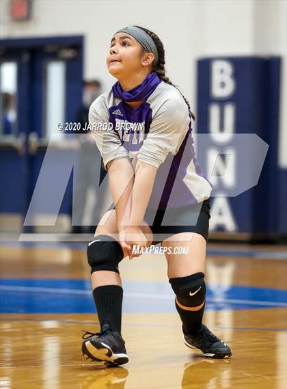 Thumbnail 3 in Newton vs Buna photogallery.