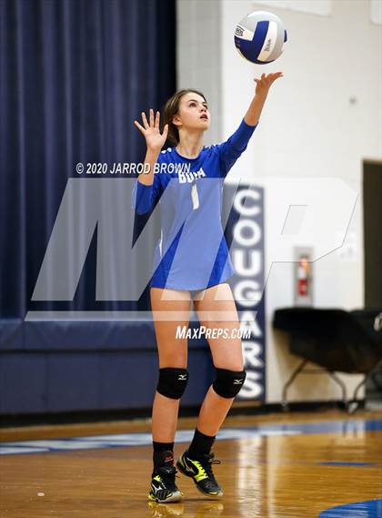 Thumbnail 1 in Newton vs Buna photogallery.