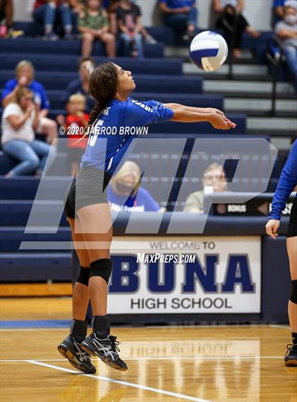 Thumbnail 3 in Newton vs Buna photogallery.