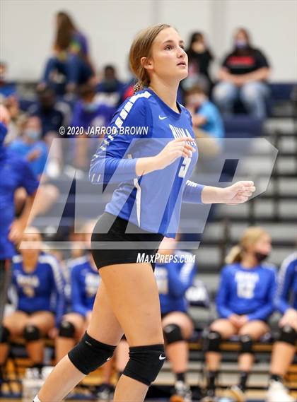 Thumbnail 1 in Newton vs Buna photogallery.