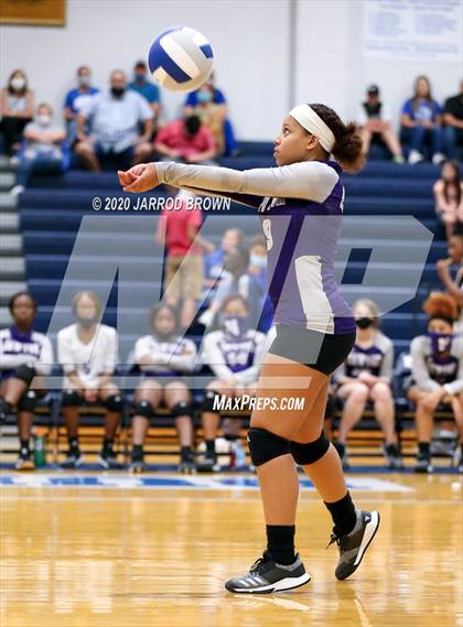 Thumbnail 1 in Newton vs Buna photogallery.