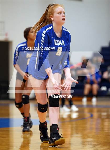 Thumbnail 2 in Newton vs Buna photogallery.