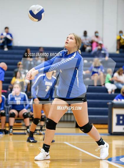 Thumbnail 1 in Newton vs Buna photogallery.