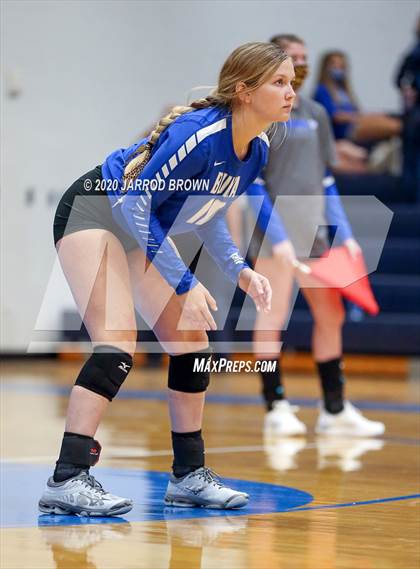 Thumbnail 3 in Newton vs Buna photogallery.