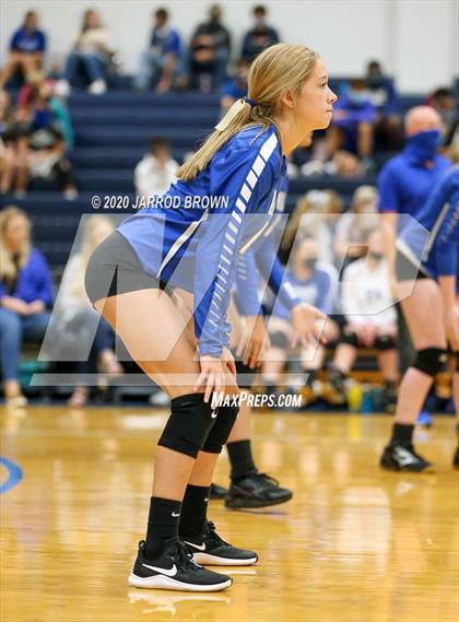 Thumbnail 2 in Newton vs Buna photogallery.