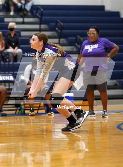 Thumbnail 1 in Newton vs Buna photogallery.