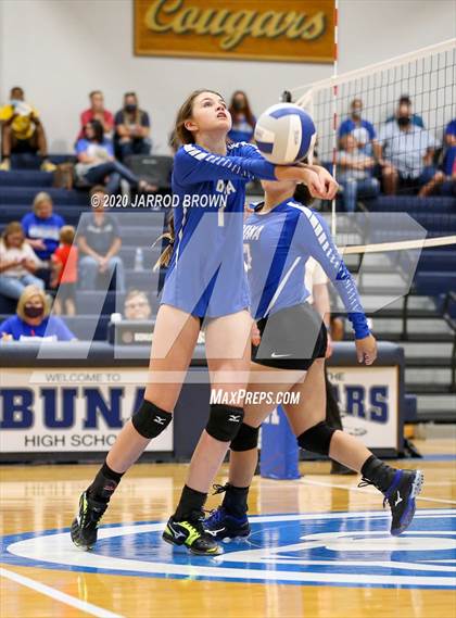 Thumbnail 1 in Newton vs Buna photogallery.