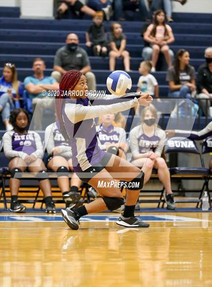 Thumbnail 3 in Newton vs Buna photogallery.