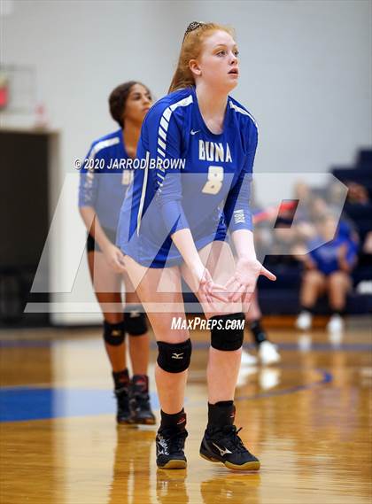 Thumbnail 1 in Newton vs Buna photogallery.