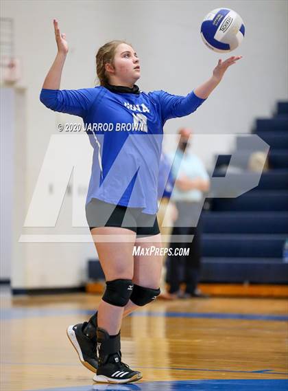 Thumbnail 1 in Newton vs Buna photogallery.