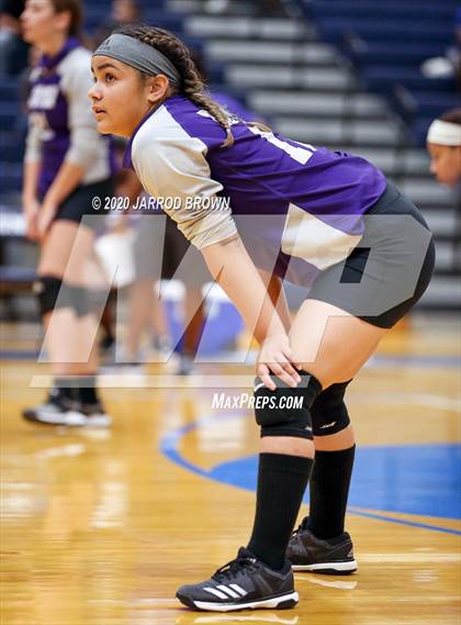 Thumbnail 2 in Newton vs Buna photogallery.
