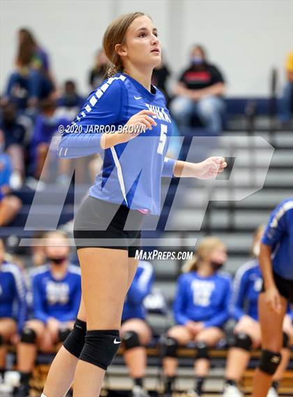 Thumbnail 2 in Newton vs Buna photogallery.
