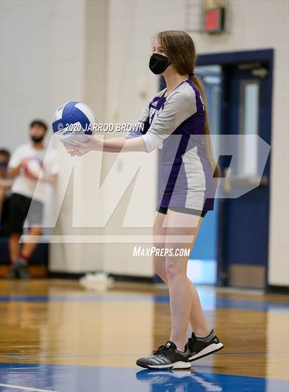Thumbnail 2 in Newton vs Buna photogallery.