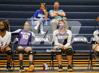 Thumbnail 3 in Newton vs Buna photogallery.